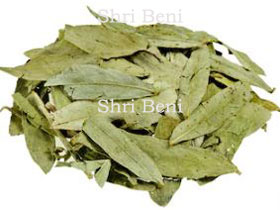 Senna Leaves